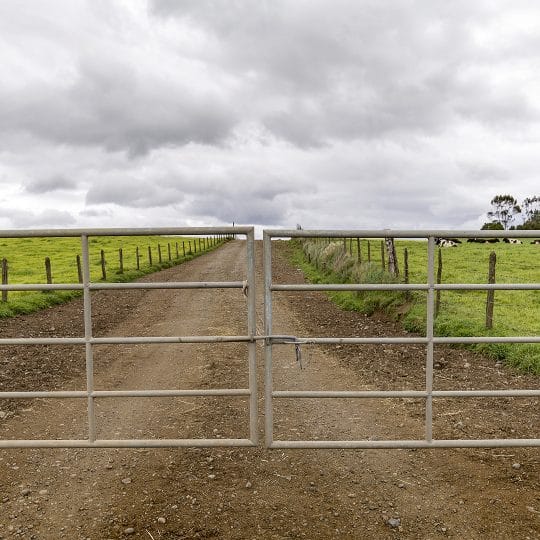 Farm Gate Latch