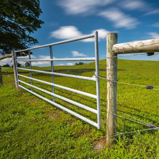 farm-gate