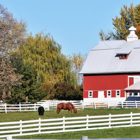 Horse Farm Gate