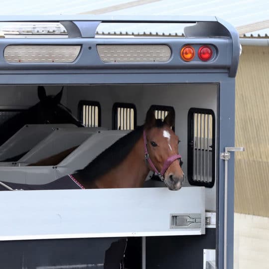 Equine Monitoring Travel Tips