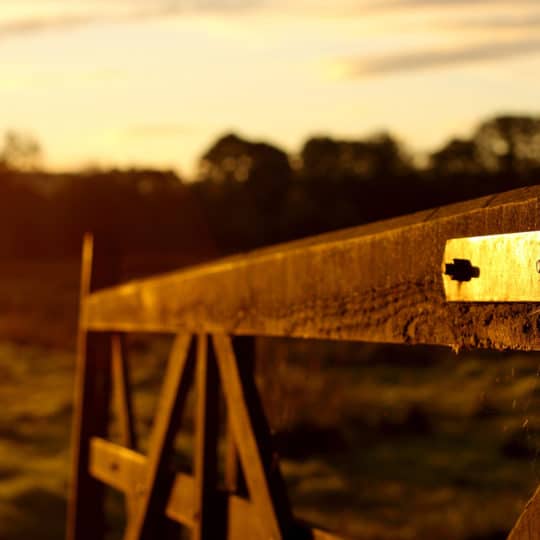 farm-gate