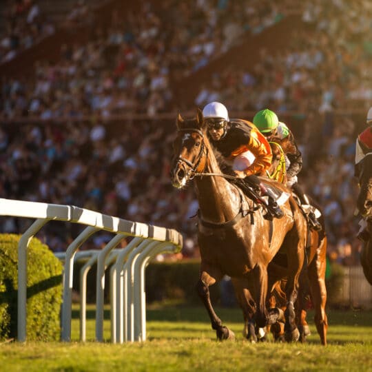 Race Day Equine Monitoring