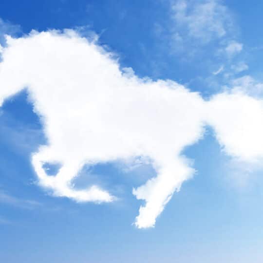 Benefits of Cloud-Based Equine Monitoring