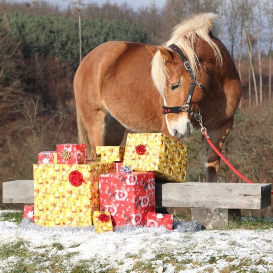 Equine Monitoring Gifts